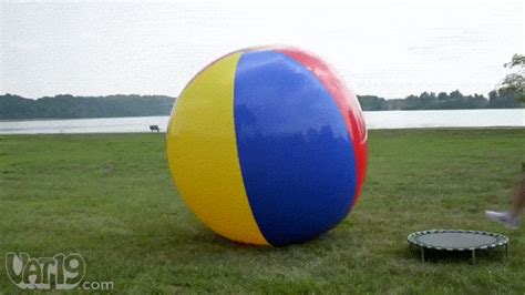 girl sucking balls gif|Relevance Ball